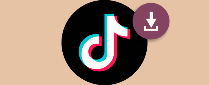 Ultimate Tiktok Video Downloader Guide